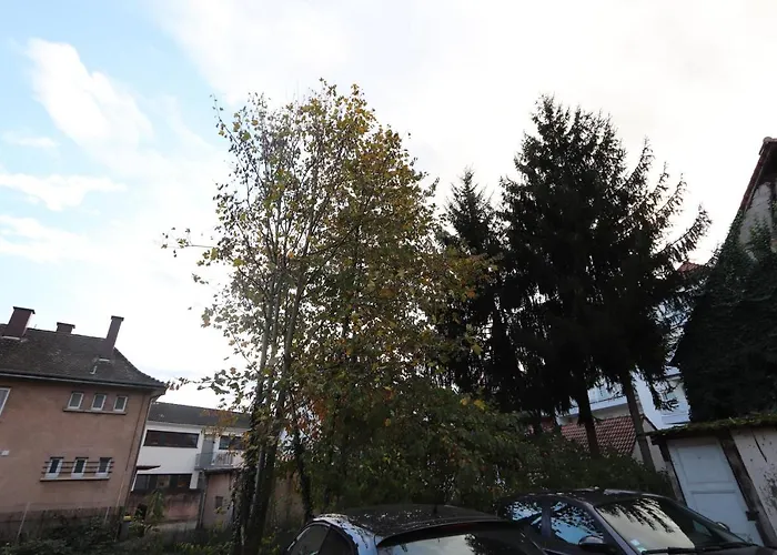 Homeday Cultivateur N°2 Type F3 Apartment *